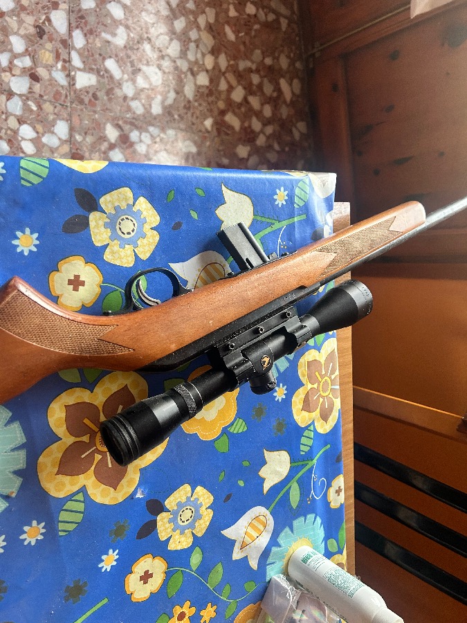 Savage Modelo 64 22LR