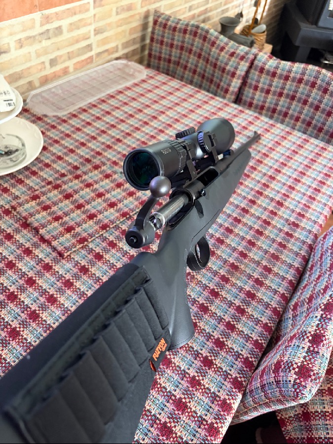 Savage 30-06 con visor Avistar