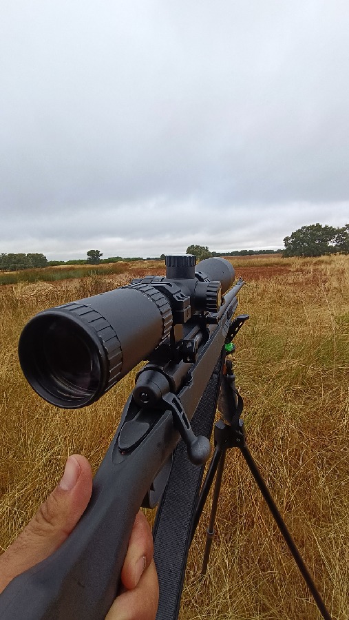 Savage Axis 270 Win de Cerrojo