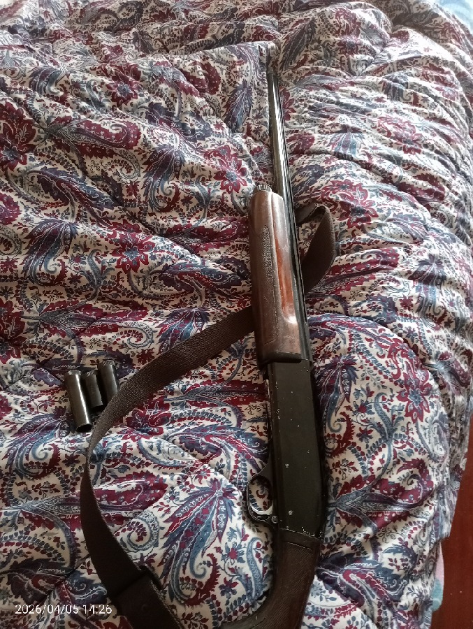 Se venden 2 escopetas: Browning B-80 y Franchi Llama 500