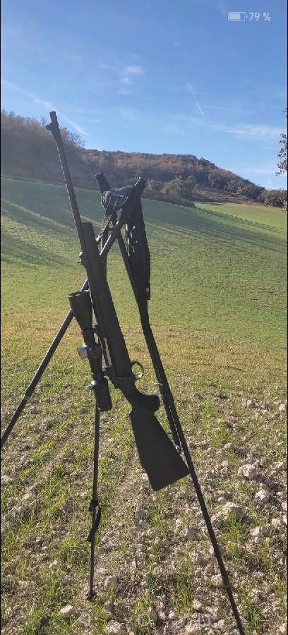 Rifle Krico Calibre 308