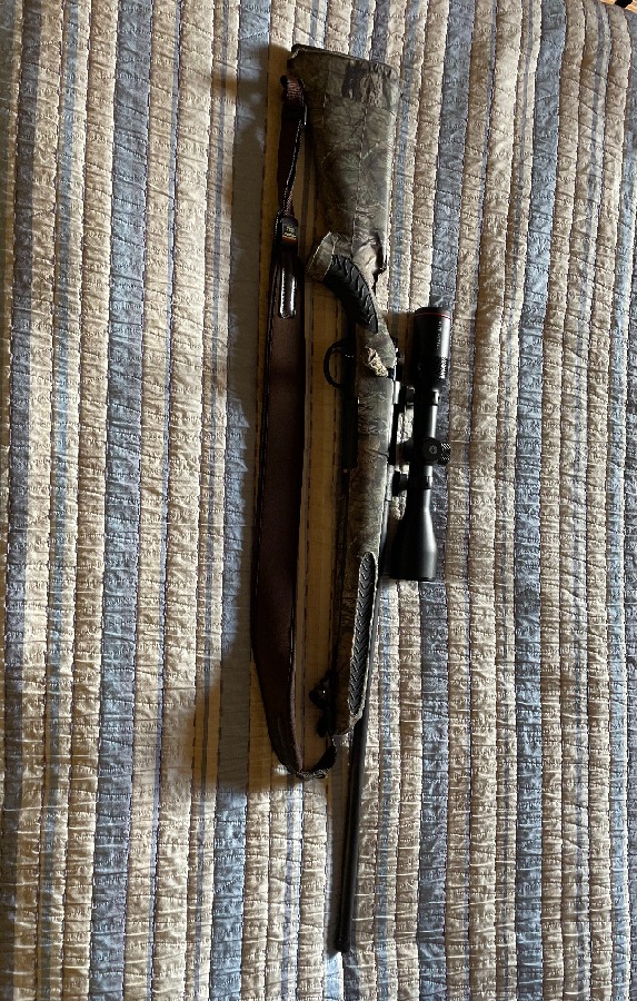 Smith & Wesson Compass (cal. 22-250 Rem) con visor