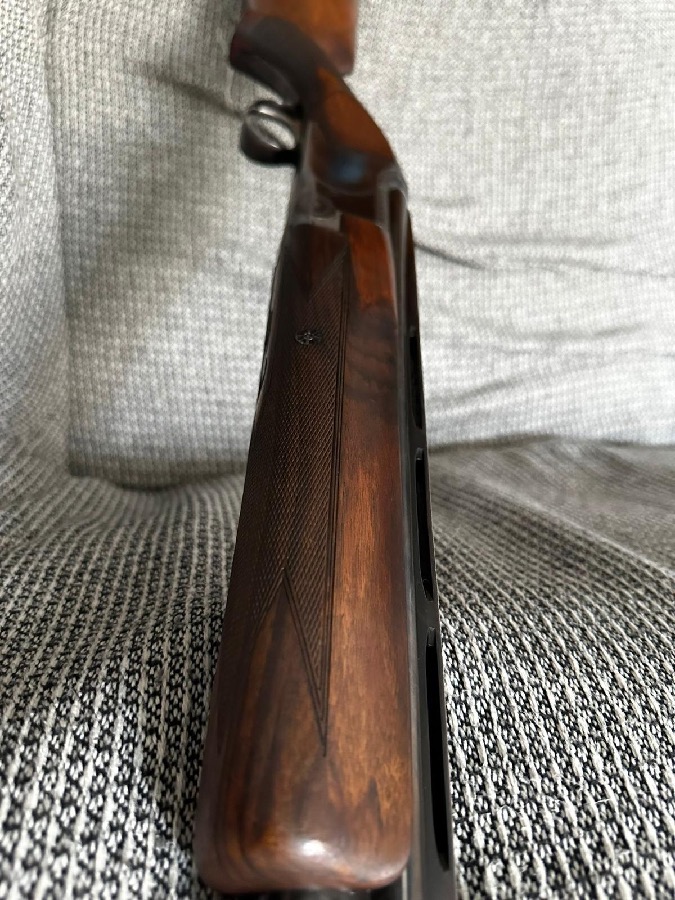 Browning B25 Súper Puesta Plato y Caza