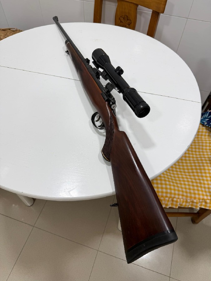 Steyr Schoenauer 30-06