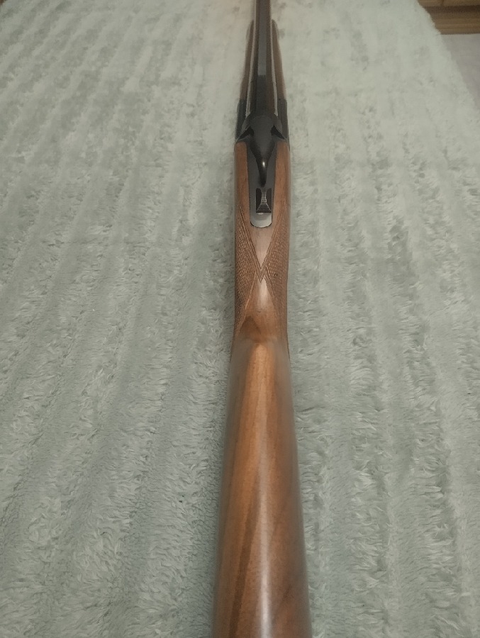 Superpuesta Laurona Silhouette