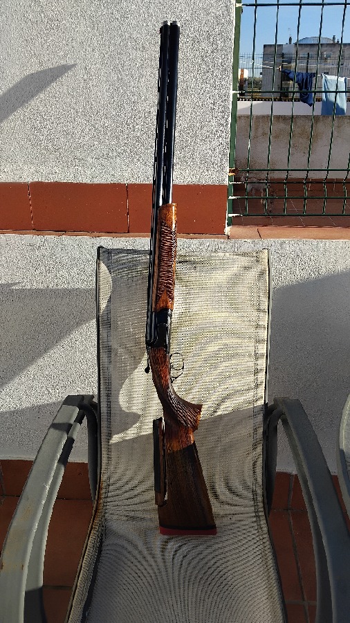 Superpuesta Renato Gamba Daytona