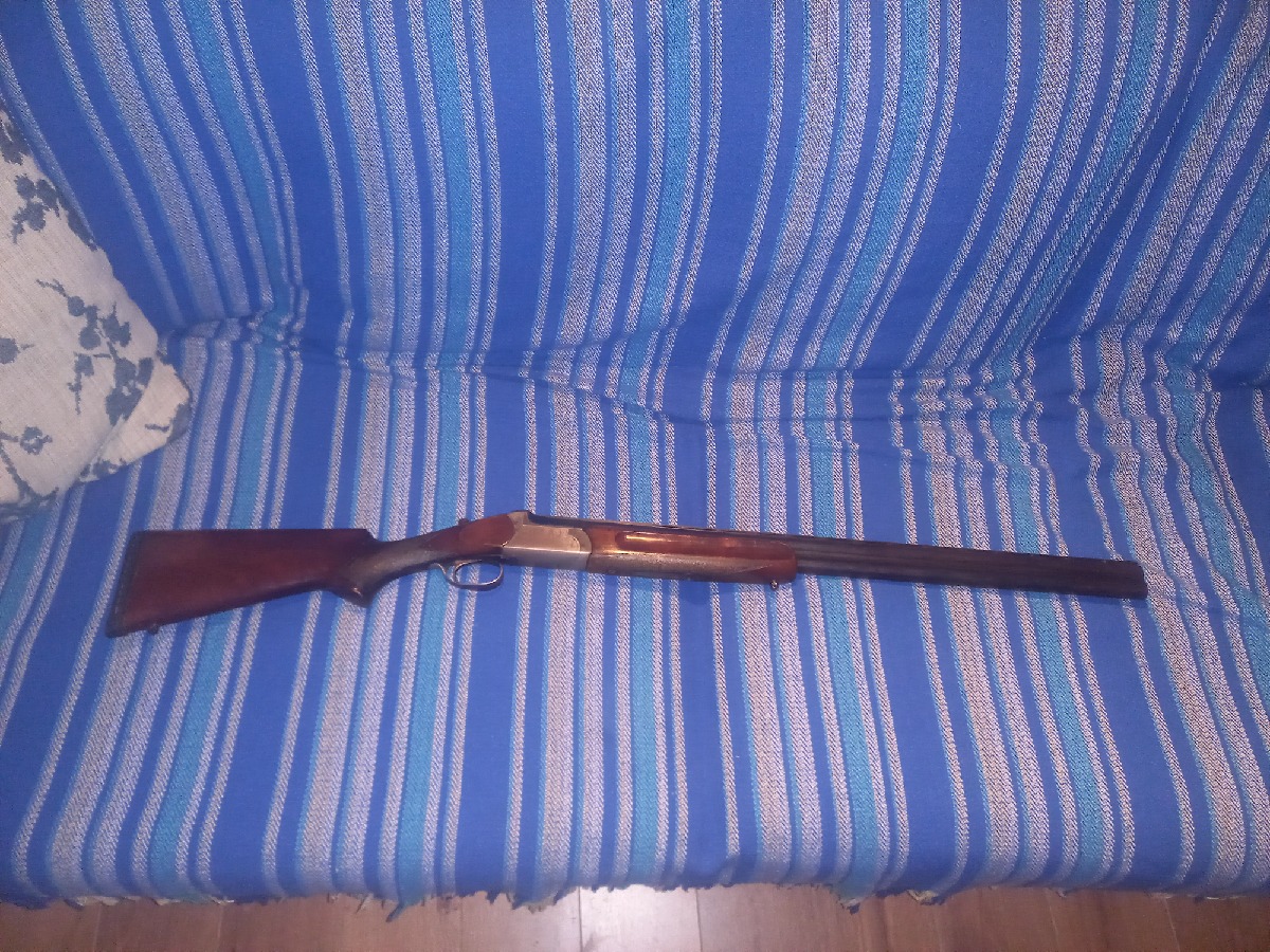 Francisco Sarriugarte