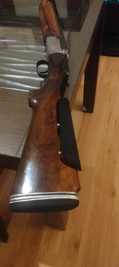 Bernardelli Orione Trap