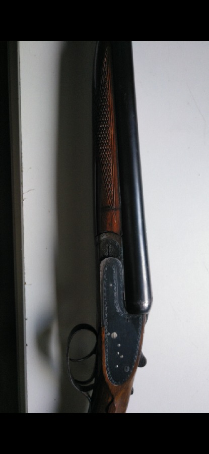 Víctor Sarasqueta Calibre 12