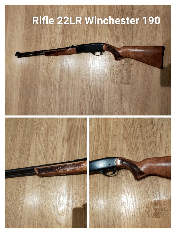 Winchester 190 .22 LR