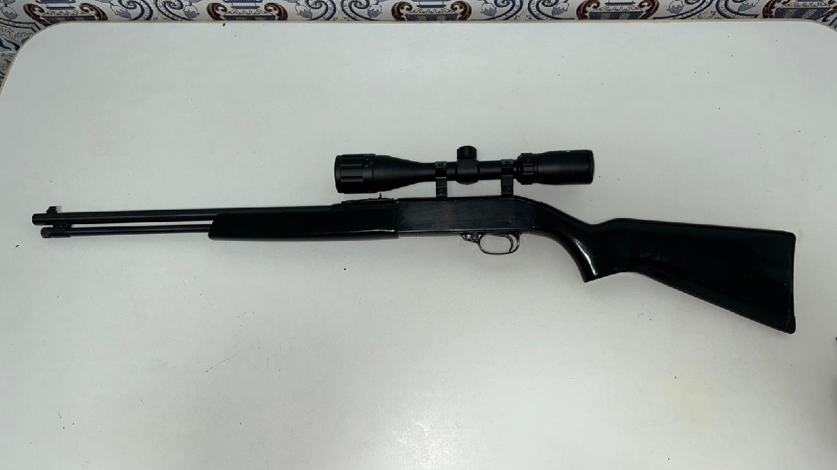 Winchester 22LR Modelo 190