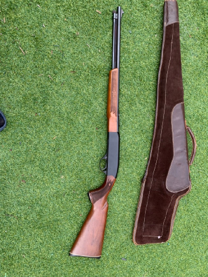 Winchester 290 