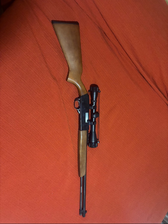 Winchester Calibre 22LR Modelo 190